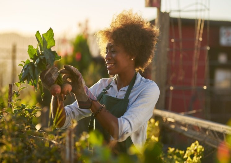 Cultivate Behavioral Health