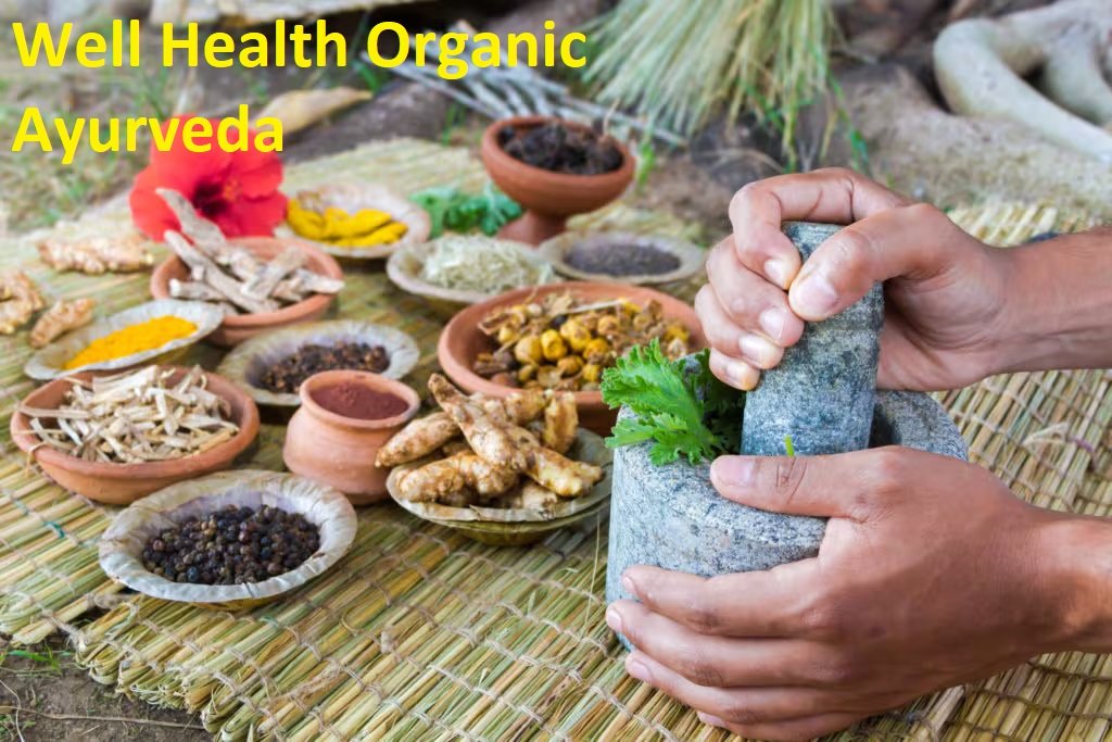 well health organic ayurveda